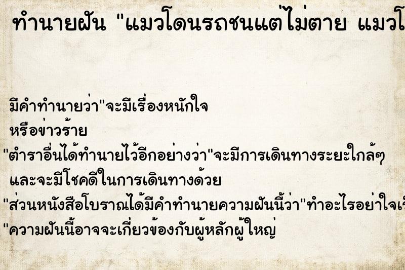 ทำนายฝัน แมวโดนรถชนแต่ไม่ตาย แมวโดนรถชนแต่ไม่ตาย